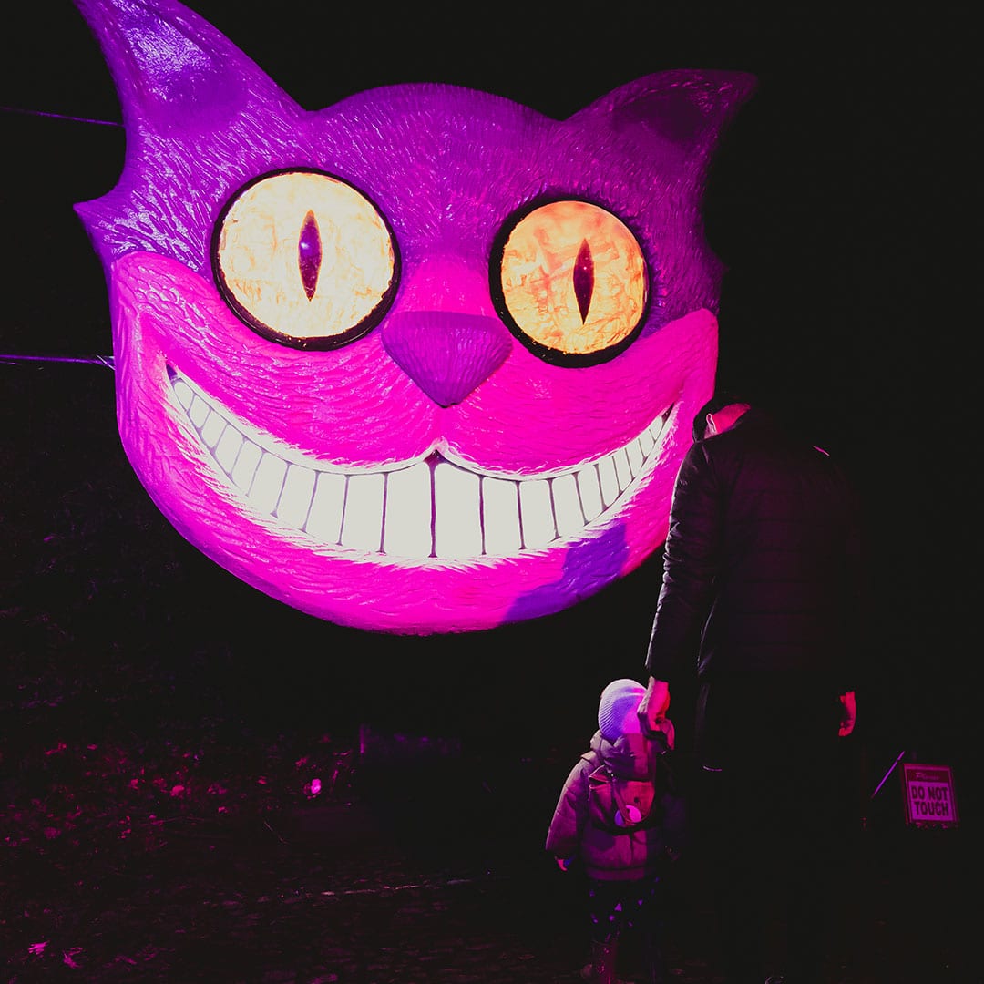 cheshire cat light display 