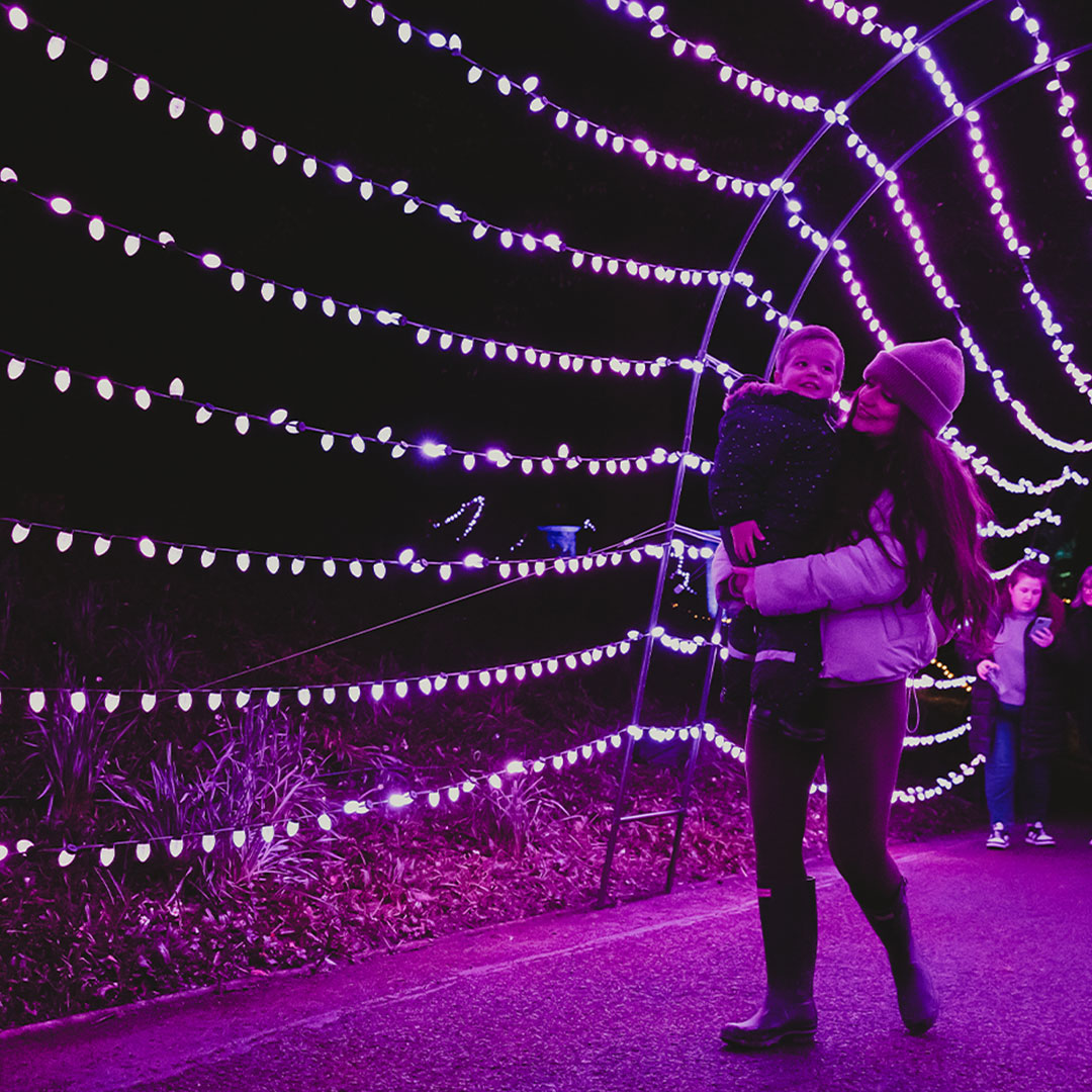 customers at the light display at wonderglow 