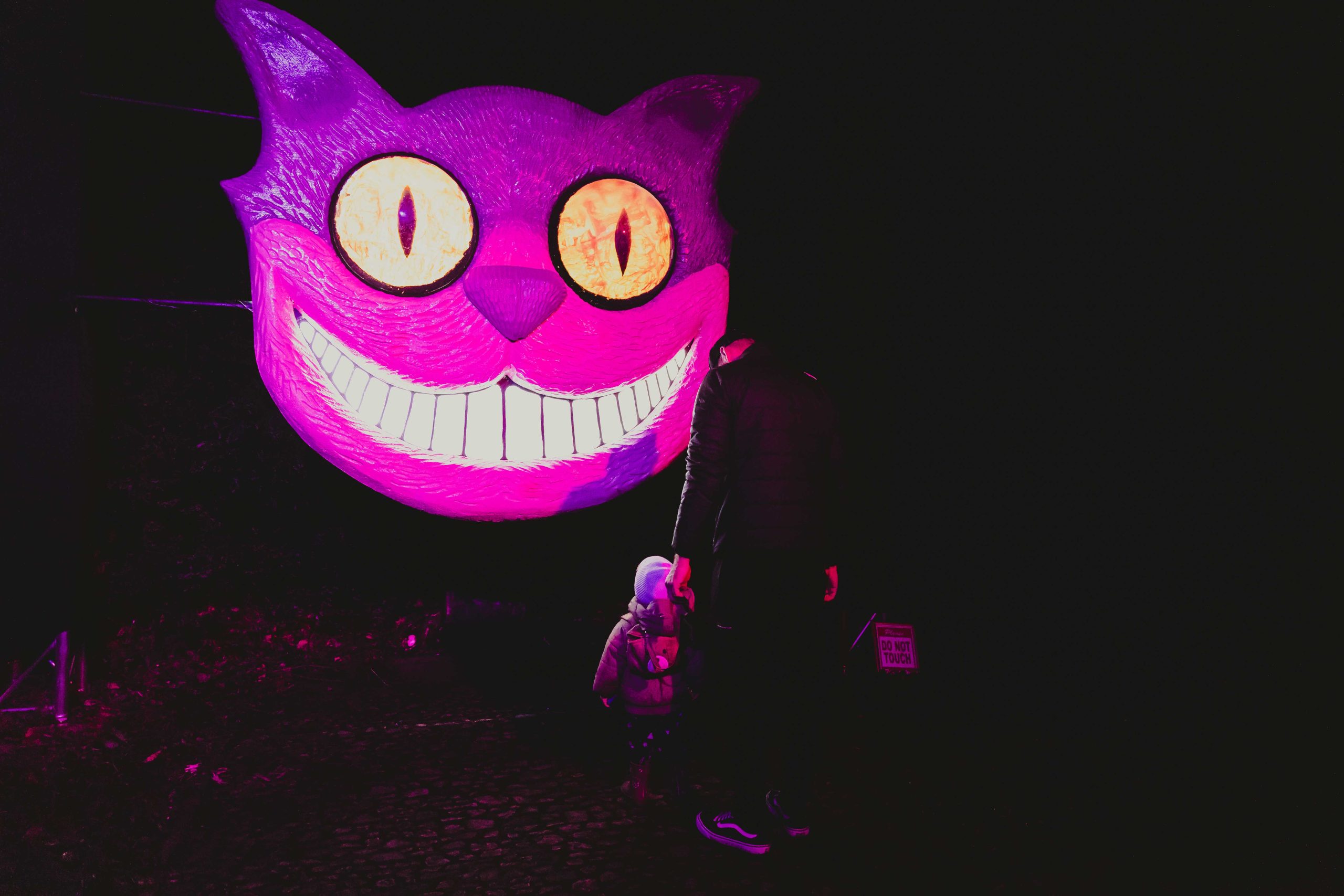 chershire cat display 