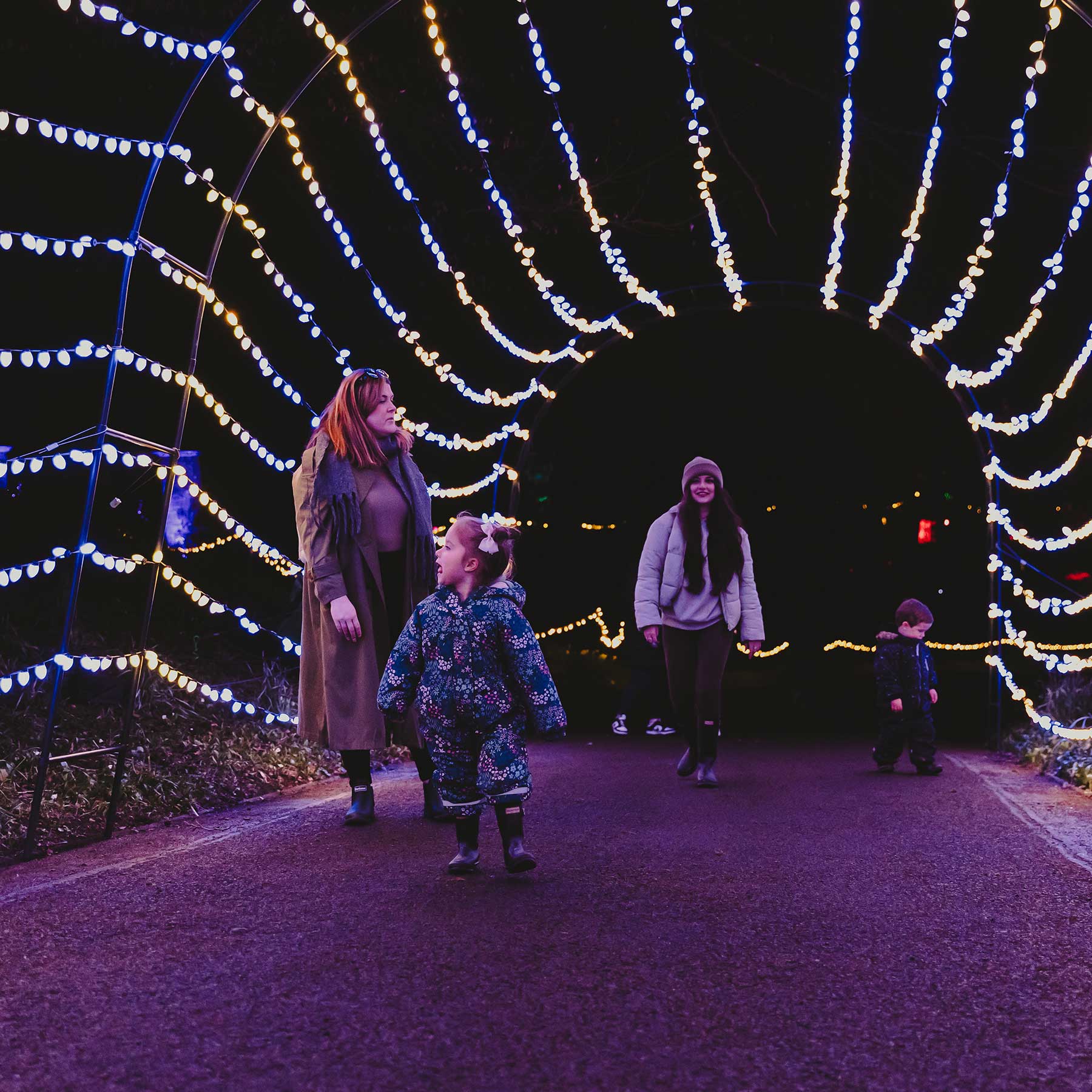 light tunnel at wonderglow light trail