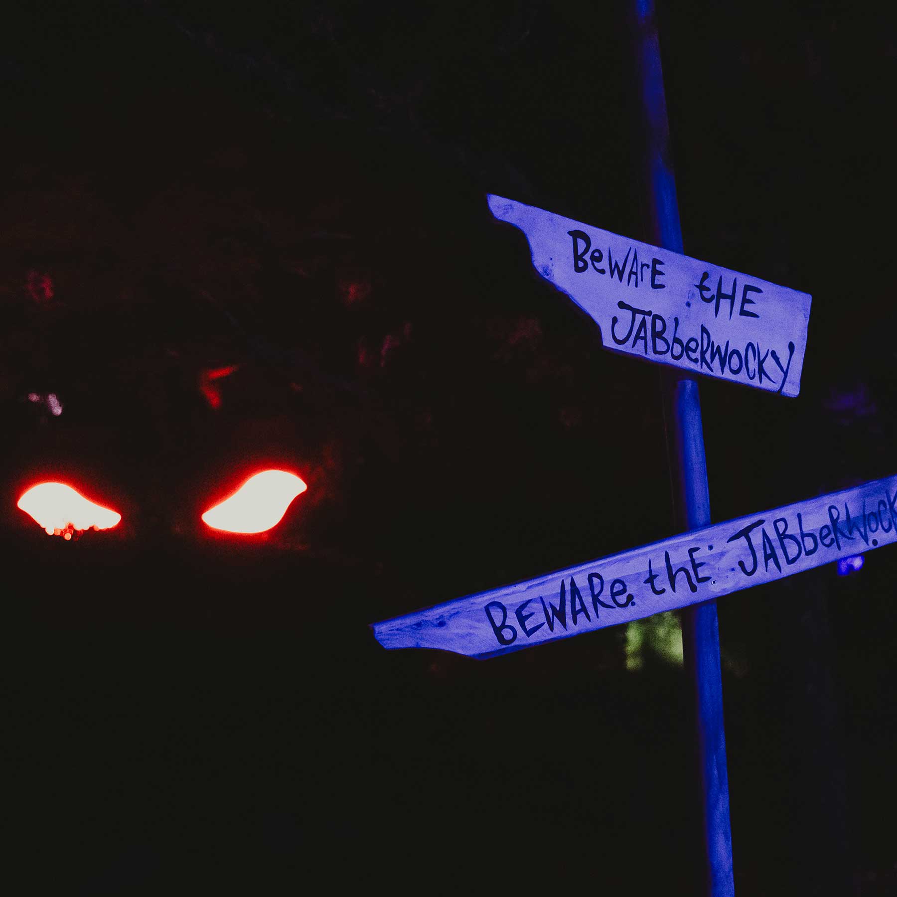 jaberwocky at wonderglow light trail 