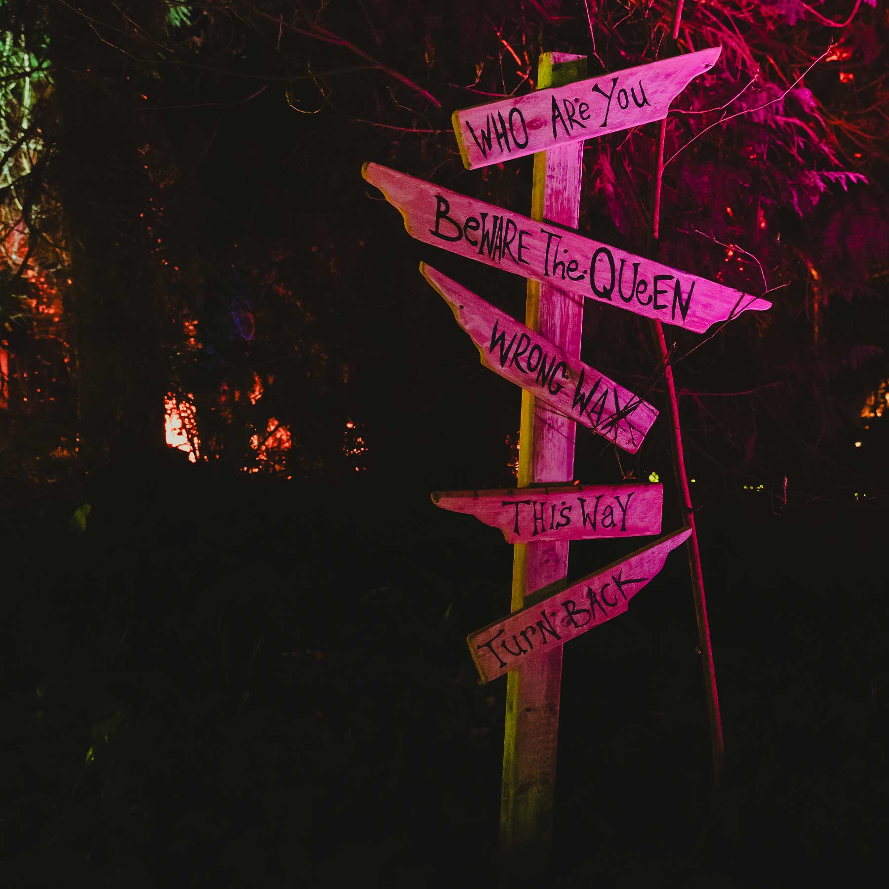 signpost at wonderglow light trail