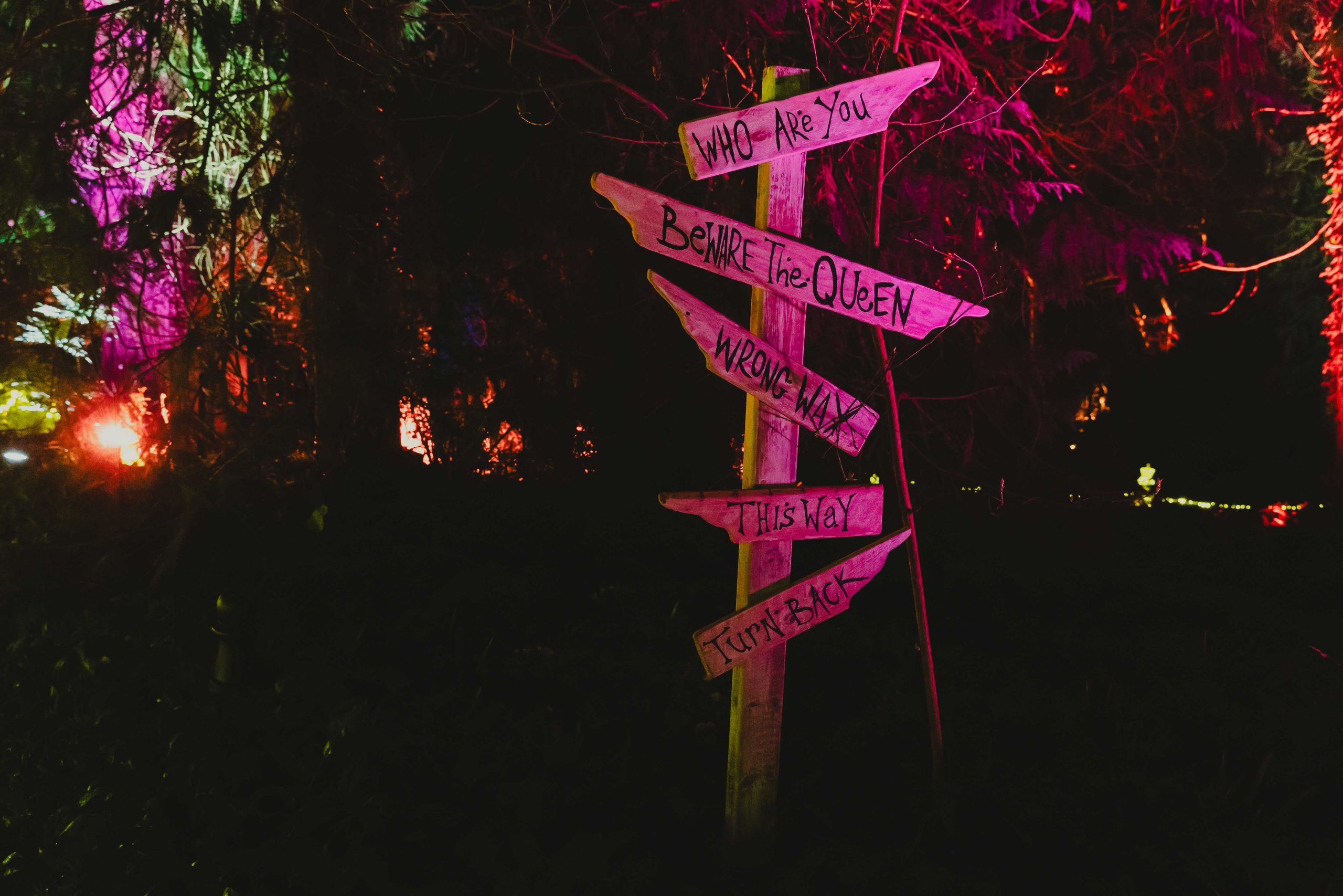 alice in wonderland inspired train 